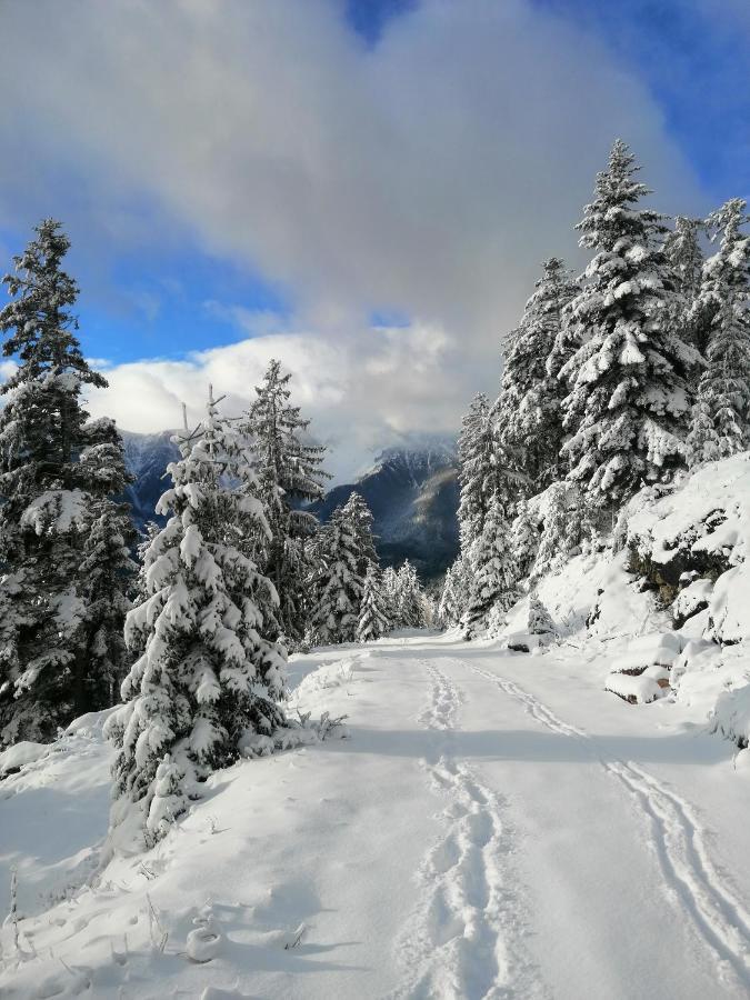 Haus Lenz Ferienwohnungen - Fam Ostermann Puchberg am Schneeberg Ngoại thất bức ảnh