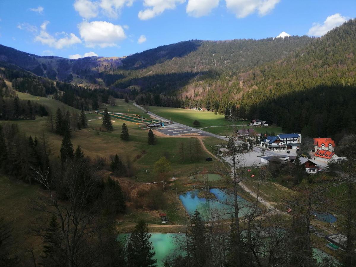Haus Lenz Ferienwohnungen - Fam Ostermann Puchberg am Schneeberg Ngoại thất bức ảnh