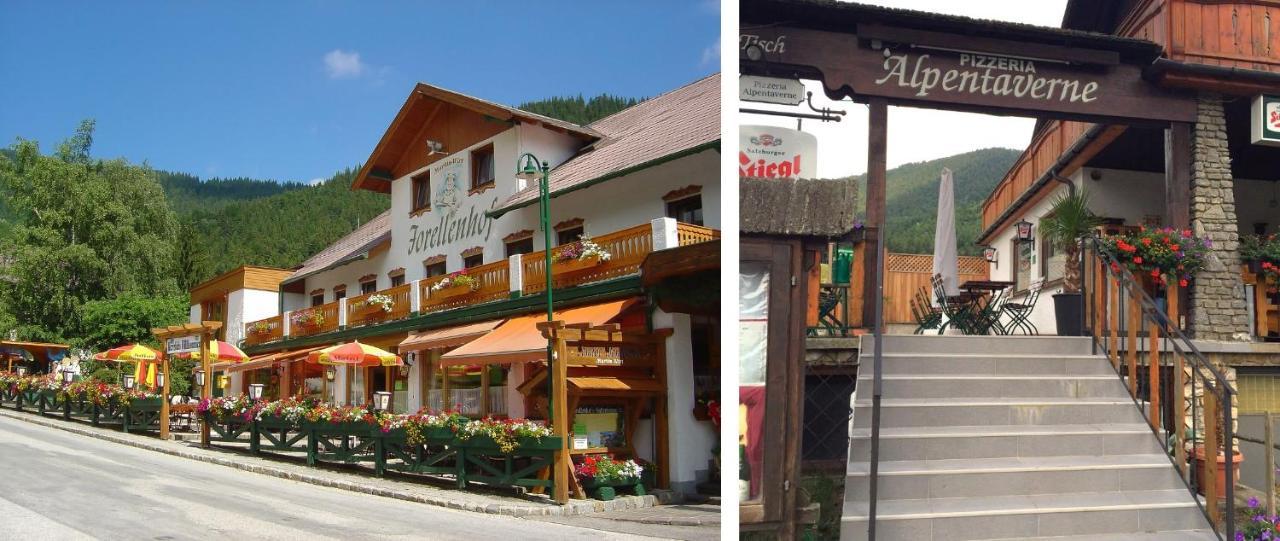 Haus Lenz Ferienwohnungen - Fam Ostermann Puchberg am Schneeberg Ngoại thất bức ảnh