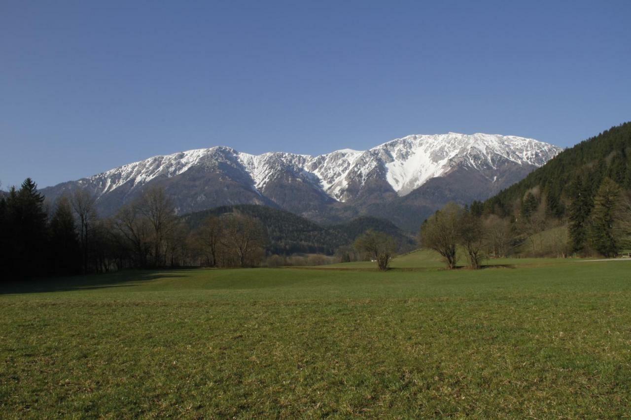 Haus Lenz Ferienwohnungen - Fam Ostermann Puchberg am Schneeberg Ngoại thất bức ảnh