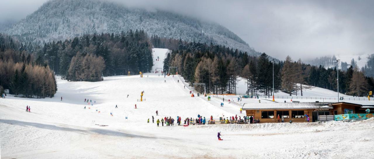 Haus Lenz Ferienwohnungen - Fam Ostermann Puchberg am Schneeberg Ngoại thất bức ảnh